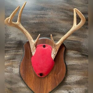 Vintage Mounted 7 Point Antlers White Tail Man Cave Plaque